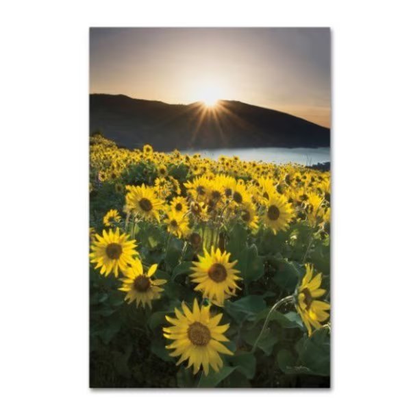 Alan Majchrowicz 'Columbia River Gorge Sunrise' Canvas Art, 12x19, Trademark Fine Art, Mfr#: WAP01956-C1219GG